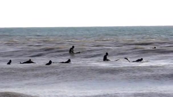 Surfistas en la alineación, Surfistas en el agua — Vídeo de stock