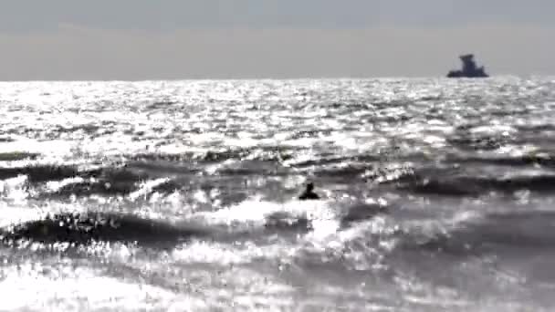 Surfistas en la alineación, Surfistas en el agua — Vídeo de stock