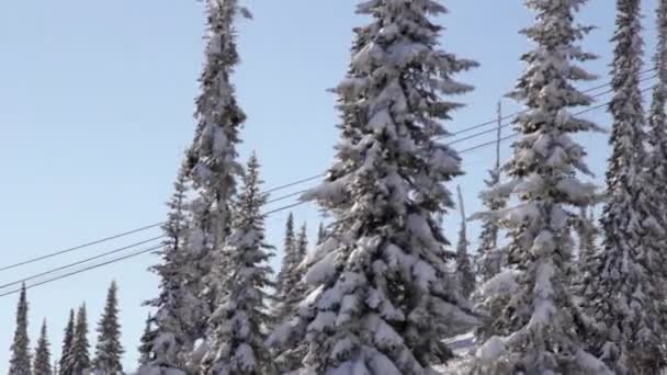 Ski Lift klättrar, skidlift stiger mellan snöiga träd — Stockvideo