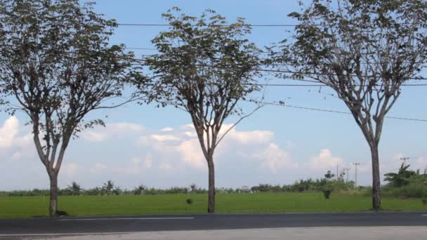 Road, Bali, Indonézia szkuterek (robogók) — Stock videók
