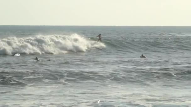 Surfista su un'onda — Video Stock