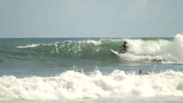 Surfista su un'onda — Video Stock