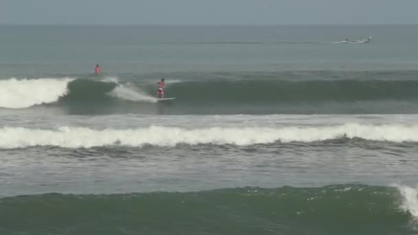 Surfista cavalca su un'onda — Video Stock