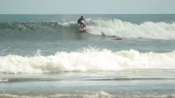 Surfer βόλτες σε ένα κύμα — Αρχείο Βίντεο