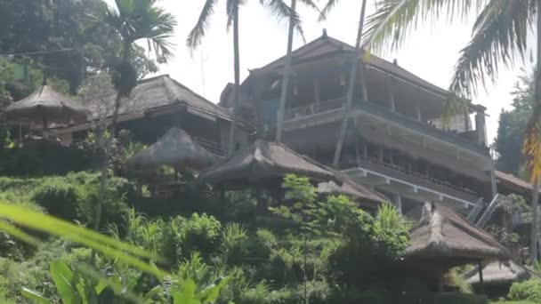 Casa em Ubud — Vídeo de Stock