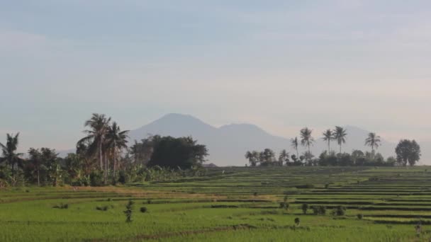 Vista del Volcán — Vídeos de Stock