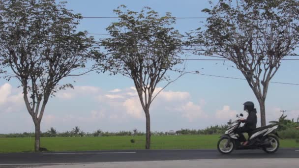 Многие скутеры движутся по дороге — стоковое видео