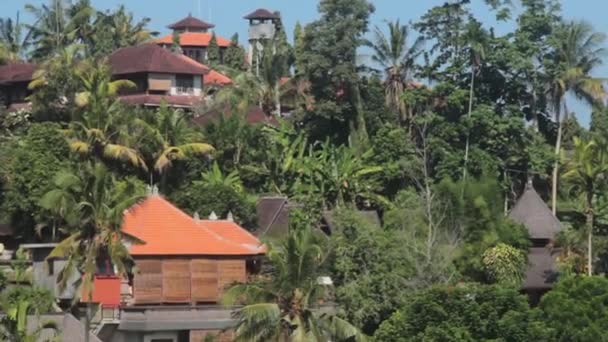House in Ubud Among Palm Trees — Stock Video