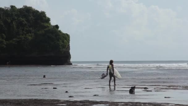 바다에 강아지와 함께 산책 하는 서퍼 — 비디오