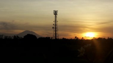 Telefon anten gündoğumu, ormanda