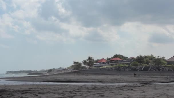 Panorama de la playa con arena volcánica — Vídeos de Stock