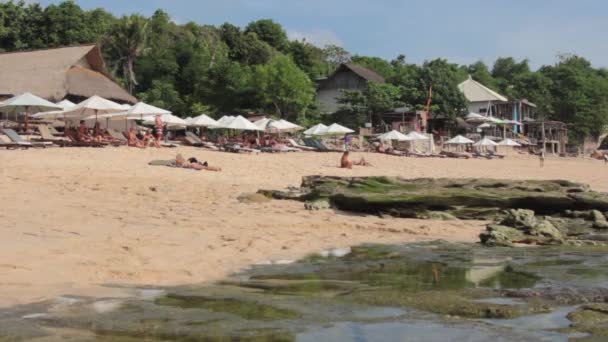 Песчаный пляж с солнечными кроватями — стоковое видео