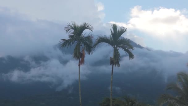 Vulkan in den Wolken nach dem Regen — Stockvideo