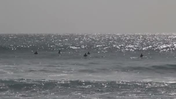 Surfistas esperando olas en el océano — Vídeo de stock