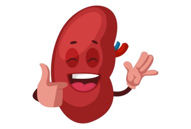 Böbrek onay işareti veriyor. Vektör grafik çizimi. Tek tek beyaz arkaplanda.