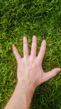 Yeşil çimenlerin üzerinde güneşli bir günde teslim