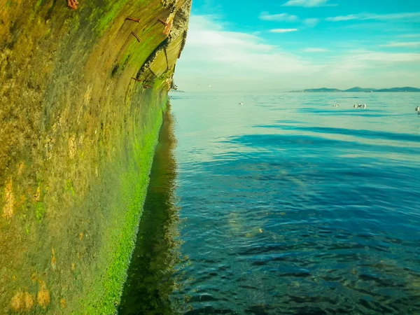 Dramatică stâncă de coastă și pescăruși — Fotografie, imagine de stoc