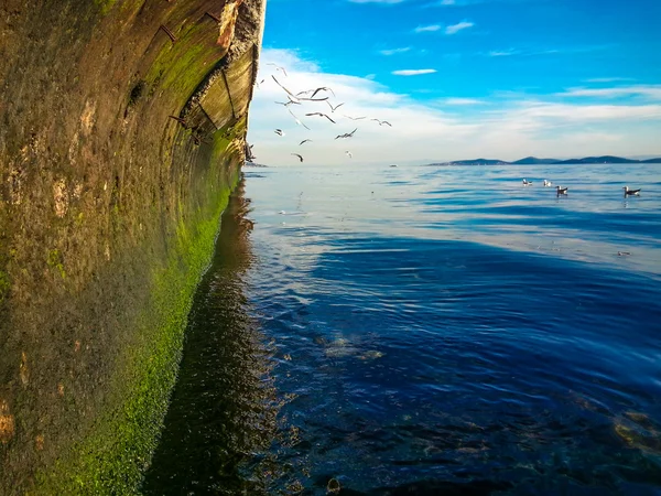 Dramatic coastal cliff and seagulls — Stock Photo, Image