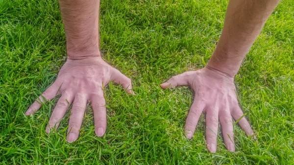 Mano sobre hierba verde en un día soleado — Foto de Stock