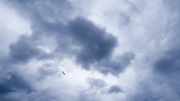 Пушистые серые дождевые облака в небе — стоковое фото