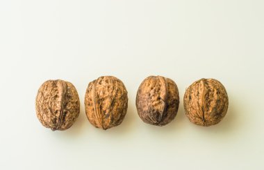 Ceviz kabuğundaki beyaz bir arka plan üzerinde