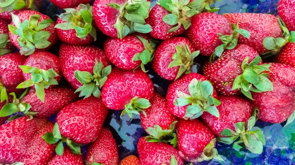 草莓的顶视图 — 图库照片