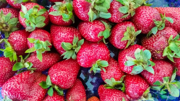 草莓的顶视图 — 图库照片