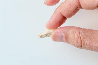 Adam holding ayçiçeği tohumu