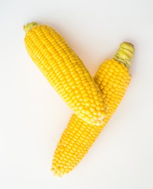 Taze mısır koçanı ile