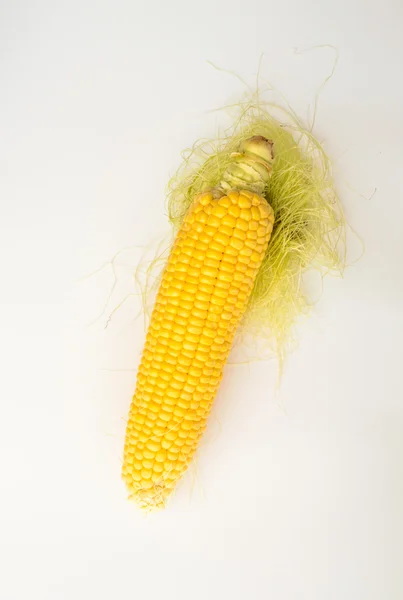 Maïs frais avec épi — Photo