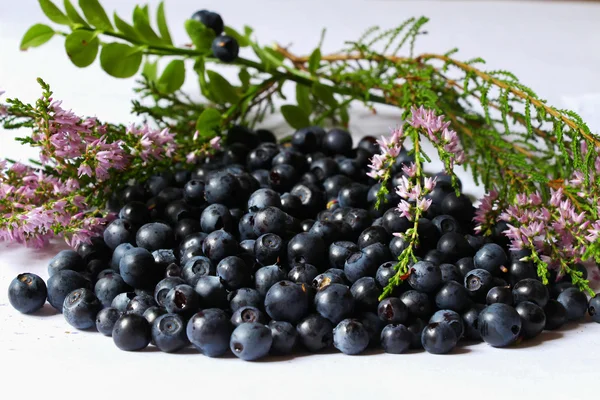 Ripe blueberries lying on a white background — Stock Photo, Image