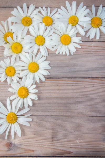 木の板にテクスチャある美しいデイジーの花 — ストック写真