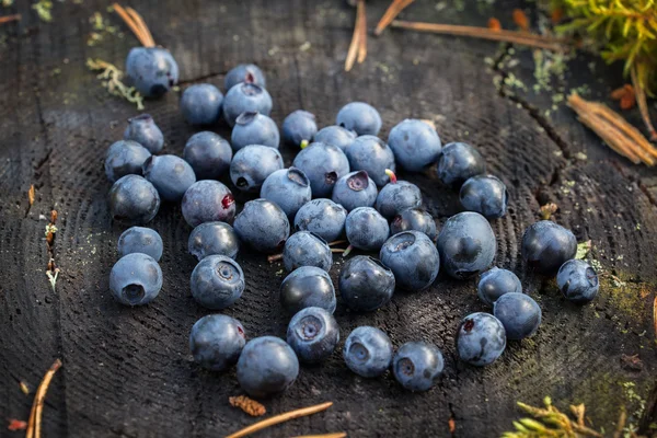 Delicious ripe blueberries lying on a large tree stump in a pine forest in the evening. — Stock Photo, Image