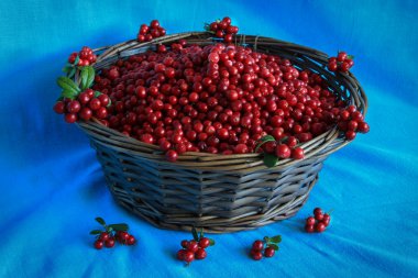 Ahşap sepet içinde lezzetli olgun kızılcık ayakları üzerinde mavi bir masa örtüsü