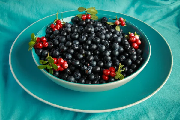 Deliciosos arándanos maduros en una taza azul está en el mantel azul — Foto de Stock