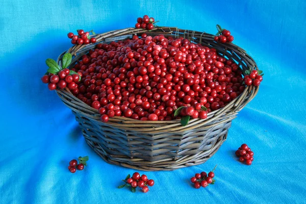 Delicious ripe cranberries in a wooden basket stands on a blue tablecloth — Stock Photo, Image
