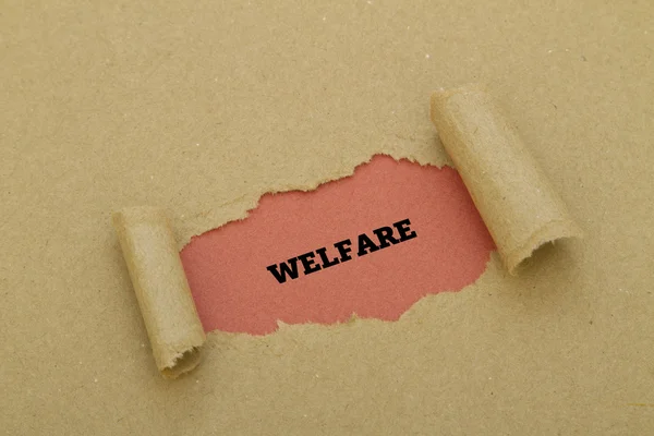 Refah yazıt karton delik içinde