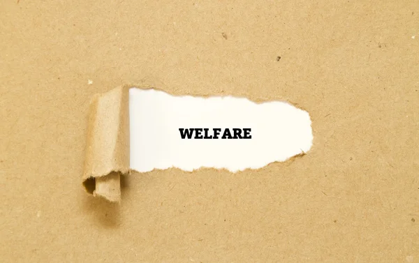 Refah yazıt karton delik içinde