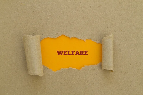 Welfare Напис Всередині Отвору Картоні — стокове фото