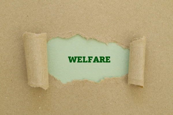 Refah yazıt karton delik içinde