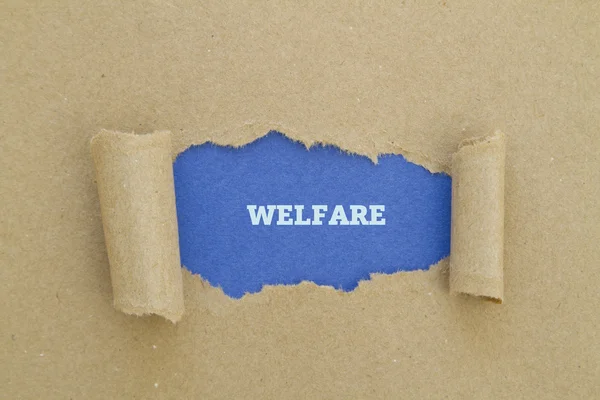 Refah yazıt karton delik içinde