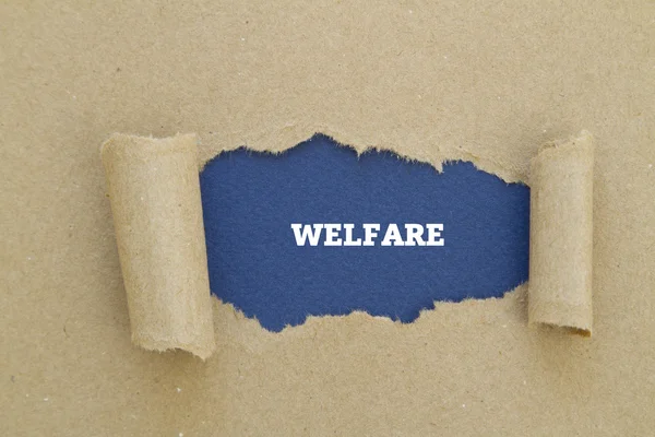 Welfare Inscrição Dentro Buraco Papelão — Fotografia de Stock