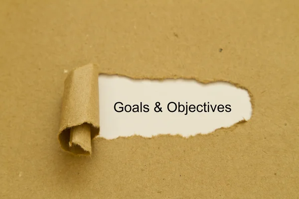 Goals Objectives Inscription Hole Cardboard — Stock Photo, Image