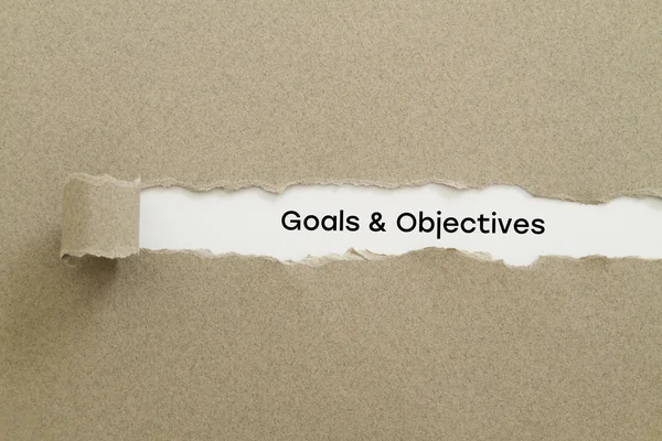 Goals Objectives Inscription Hole Cardboard — Stock Photo, Image