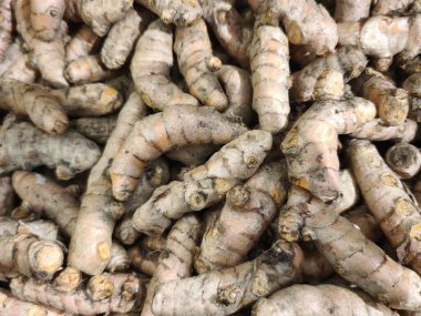 Doğal dokularını ve toprak tonlarını gösteren taze zerdeçal köklerinin yakın plan çekimi. Aşçılıkta ve tıpta işleme ve kullanıma hazır.