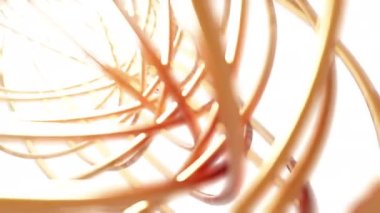 Beyaz arkaplan animasyon 4K görüntülerinde soyut Altın Torus 3D çoklu model döndürme, Ağ teknolojisi konsept tasarımı