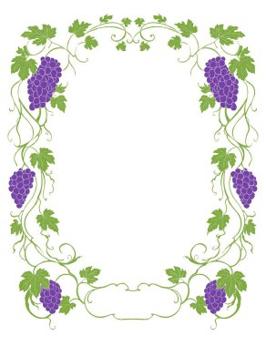 Old Grape Vine Botanical Border Frame Vintage Hand Drawn Illustration