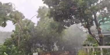 Şiddetli yağmur ve güçlü rüzgarlar günün ortasında ağaçları kamçıladı ama gökyüzü karanlık kaldı. Bu fırtına sırasında dramatik ve ürkütücü bir atmosfer yarattı..