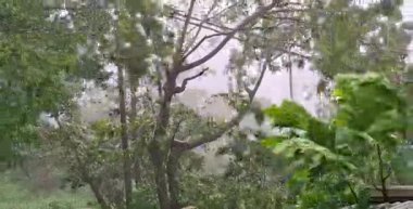 Şiddetli yağmur ve güçlü rüzgarlar günün ortasında ağaçları kamçıladı ama gökyüzü karanlık kaldı. Bu fırtına sırasında dramatik ve ürkütücü bir atmosfer yarattı..