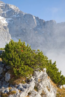 Alpler dağlarda yürüyüş